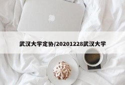 武汉大学定协/20201228武汉大学
