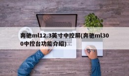 奔驰ml12.3英寸中控屏(奔驰ml300中控台功能介绍)