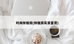时尚样板房(样板房实景鉴赏)