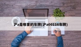沪a是哪里的车牌(沪a00116车牌)