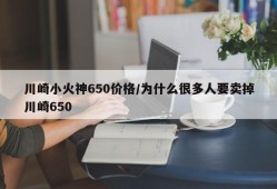 川崎小火神650价格/为什么很多人要卖掉川崎650
