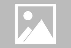 【上海发布最新疫情,上海发布最新疫情通报】