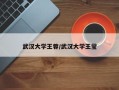 武汉大学王蓉/武汉大学王莹
