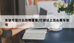车架号是什么在哪里看/行驶证上怎么看车架号