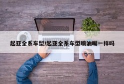 起亚全系车型/起亚全系车型喷油嘴一样吗
